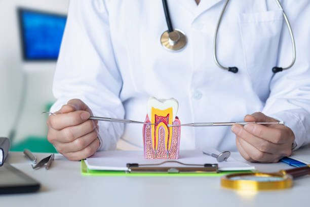 Best Orthodontic Emergency Dentist in London, CA